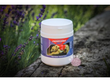 21710957 0E86 41F2 B2A1 AE1BBF7F3128