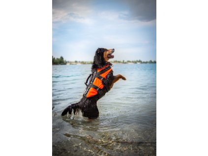 Safety life west orange