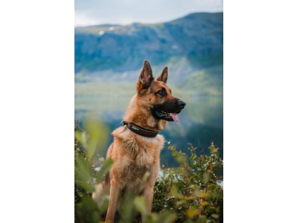 6abfbf2b309383a09564cdaabde33c230c4b9c2a