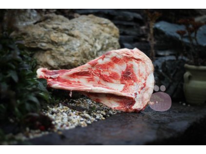 2965F651 5568 4B7B 88D0 EB4ECE0C2CAB