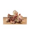 jehneci kosti 1kg fleischknochen vom salzwiesenlamm