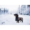 airborn coat hazel2