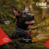 cube soft collar 8