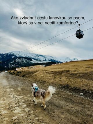 Chrumkavé pečené maškrty s králičím mäsom Prednosti pečenej maškrty: Regionálna surovina Šetrne spracované pečením Vysoká...