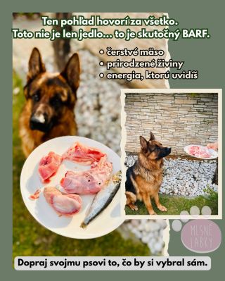 Aj pes z útulku vie, čo je dobré. A Roger si vybral Mlsné labky. ✔️ čerstvé suroviny ✔️ bez kompromisov ✔️ viditeľné...