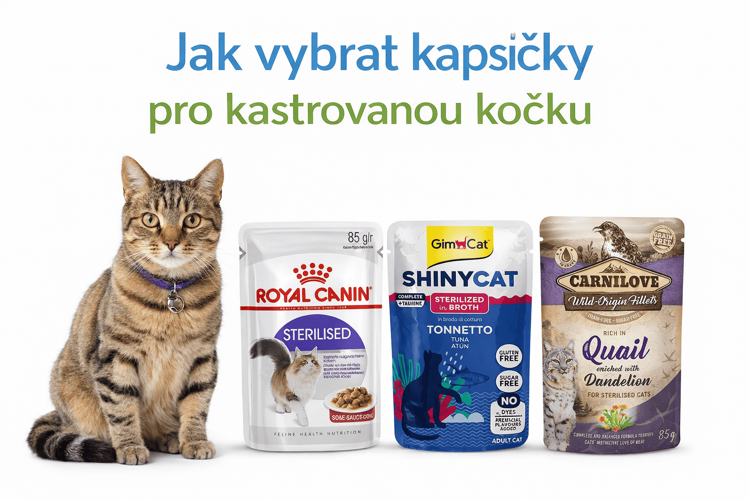 Jak vybrat kapsičky pro kastrovanou kočku (praktický průvodce)