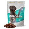 GELoren Dog L-XL 420 g