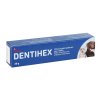 Dentihex 2 mg/g pasta pro psy a kočky 20 g
