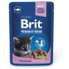 Brit Premium Cat kapsička pro koťata Bílá ryba 100 g