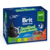 Brit Premium Multipack kapsičky pro sterilizované 12×100 g