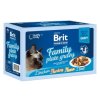 Brit Premium multipack kapsiček Family Plate ve šťávě 12×85 g
