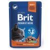Brit Premium Cat Sterilised Losos 100 g