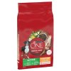 Purina One Medium Maxi Active Chicken 7kg