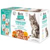 BRIT Care Cat Flavour box Sterilized Fillet in Gravy 4 x 3 ks