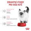 Royal Canin zdravotní výhody pro kotě