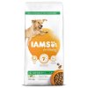 Iams Dog Adult Large Lamb 12 kg | Krmivo pro dospělé psy velkých plemen