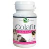 Colafit DOG & CAT 50 kostiček | Kolagen pro psy a kočky