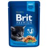 BRIT Premium Kitten Chicken Chunks 100g