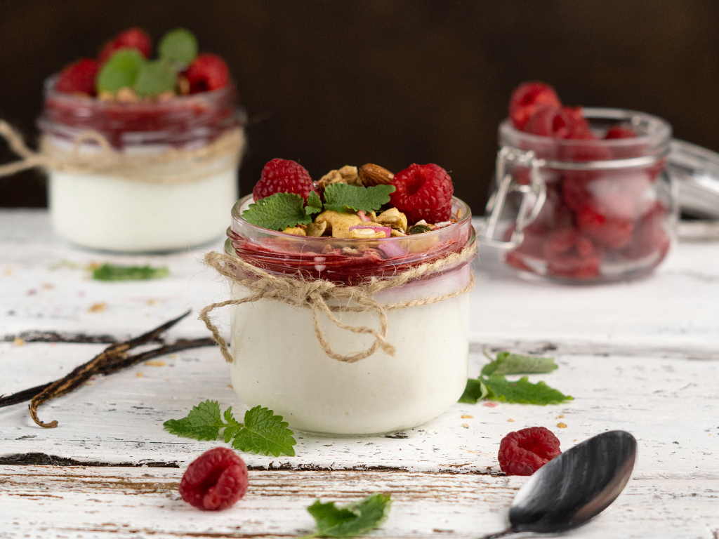 Jogurtová panna cotta