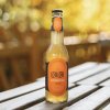 loklok kombucha zazvor sklo 330 2
