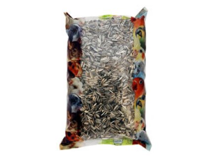 307170033 w800+rF+h800