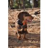 dogtrace dog x30 gps obojek pro psa 04