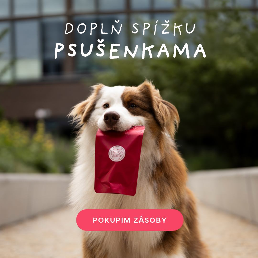 dopln spizku psusenkama