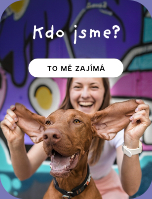 Kdo jsme?