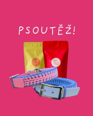 SOUTĚŽ UKONČENA! 🙏 . . . PSOUTĚŽ! 🥳🤩 o přenádherný obojky od @go__withtheflow a dva pytlíčky Mlsných pacek 💛❤️ Konečně je...