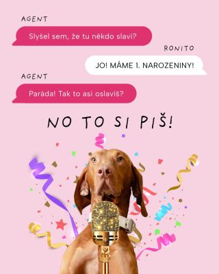 Slavíme 1. NAROZENINY Mlsných pacek! 💜 Za ten rok jsme se hodně naučili, poznali nový psokámoše i jejich páníčky,...