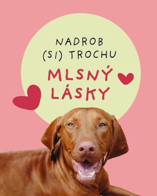 Kdo říká, že Valentýn je jen pro dvounožce? 😌 Láska prochází žaludkem - a tím psím speciálně 🐶 Tak podaruj kokinečko (nebo...