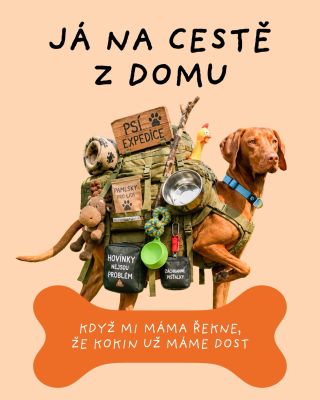 Nejsem drama queen, ale existuje vůbec jiná přijatelná reakce? Kokin neni nikdy dost, to se učí přece na základní pškole 🙈...