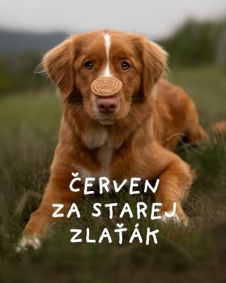 Kamarádi, už jen do příštího úterý (30. 6.) psušenky za starý ceny. Pak přichází Strejček Skrblík 💶, aby mohl Mlsný packy...