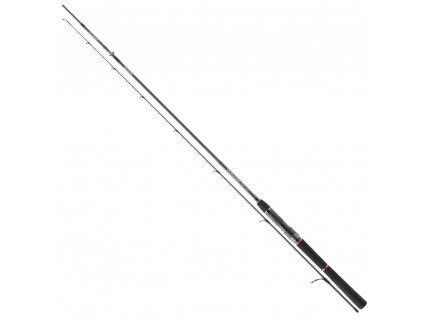 Daiwa Tournamet SW AGS 1