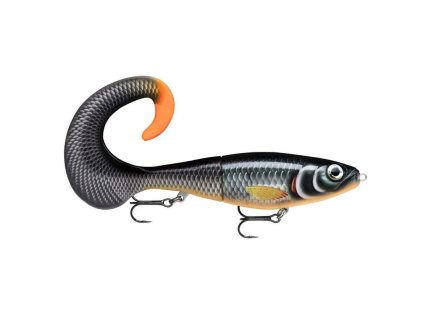 32069 x rap otus 25cm hlw