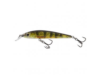 Salmo Sting RYP