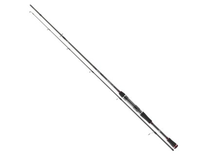 Daiwa Ballistic X 70g 4