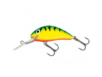 Salmo Hornet GT