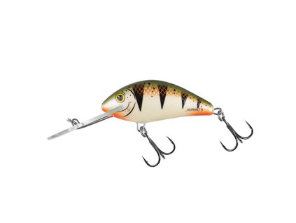 Salmo Hornet Nordic Perch