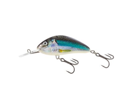 Salmo Hornet Holo Smelt