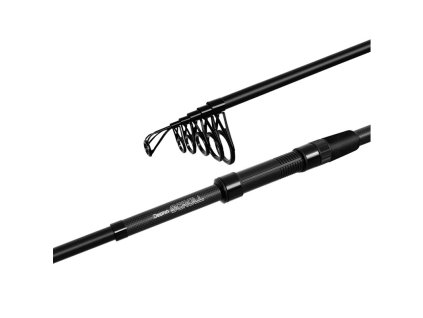 Delphin Scroll TeleCarp 1