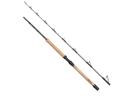 Penn Regiment IV Pro B 1