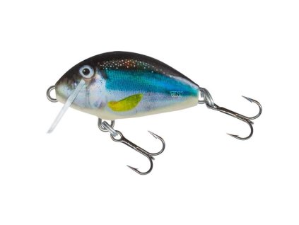 Salmo Tiny Holo Smelt