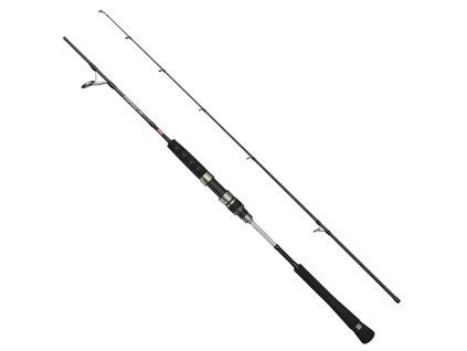 Penn Prevail Jigging 1