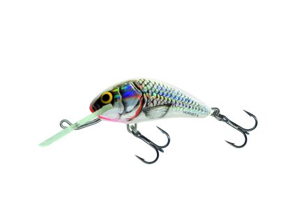 Salmo Hornet SWS