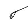 Delphin Xawer 3