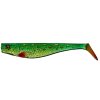 Dexter Shad Illex Magic Pike