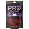 Boilie Starbaits 200g Blackberry