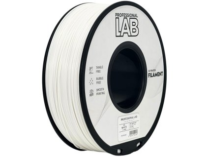 fg p133 e1fg p133 e1