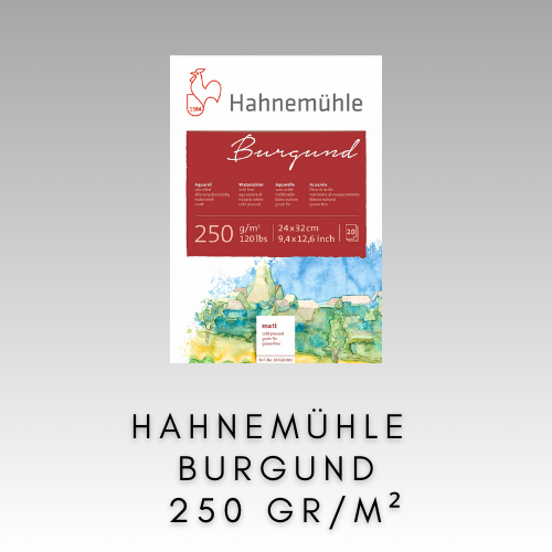 HAHNEMÜHLE BURGUND 250 GR/M2 LISOVANÝ ZA STUDENA A DRSNÝ